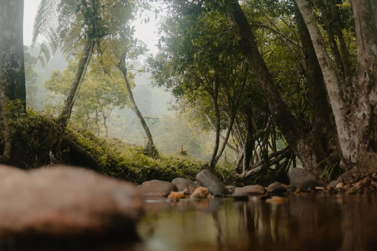 Отель Abad Brookside Wayanad Витхири