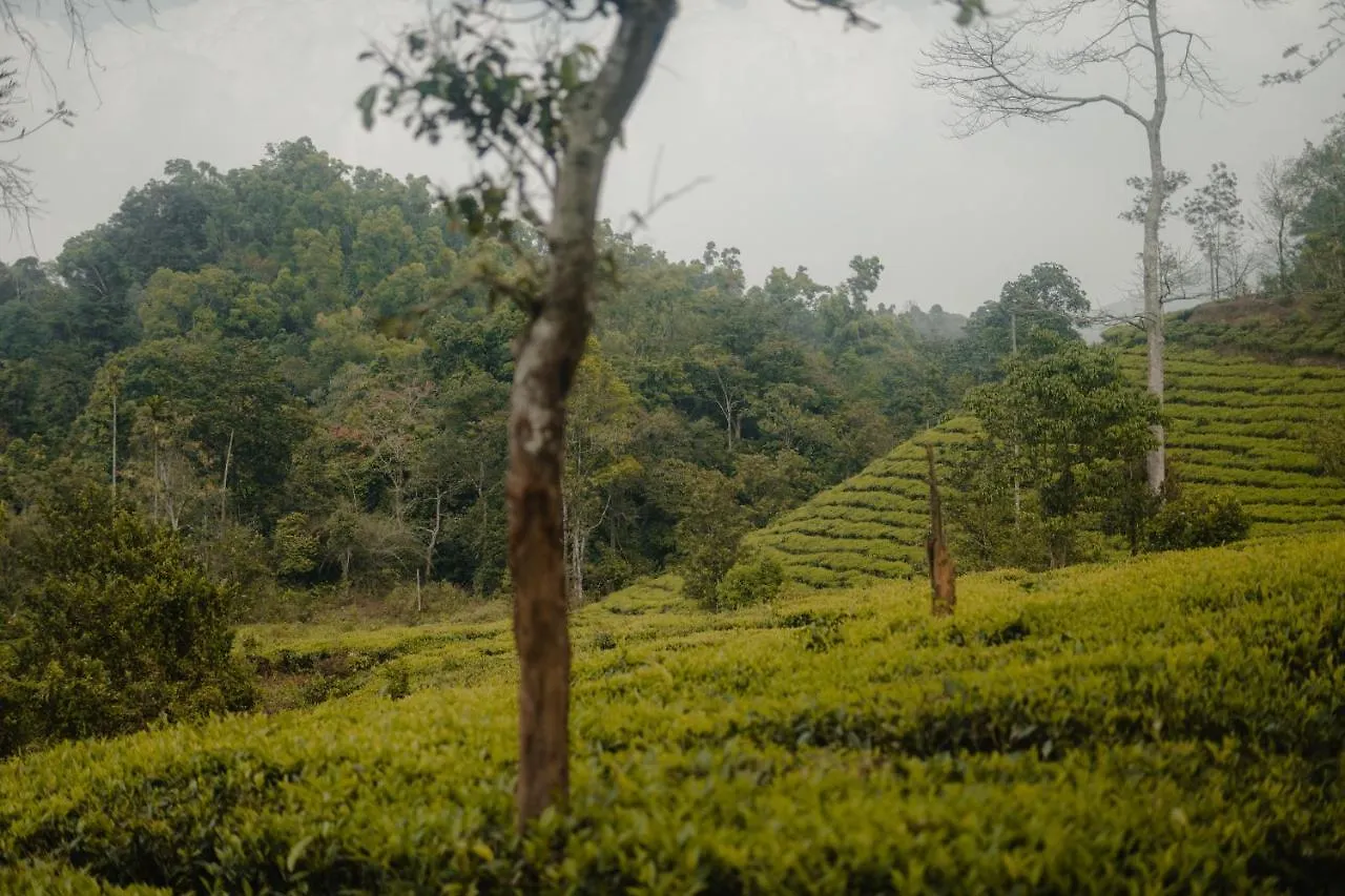 Отель Abad Brookside Wayanad Витхири Индия