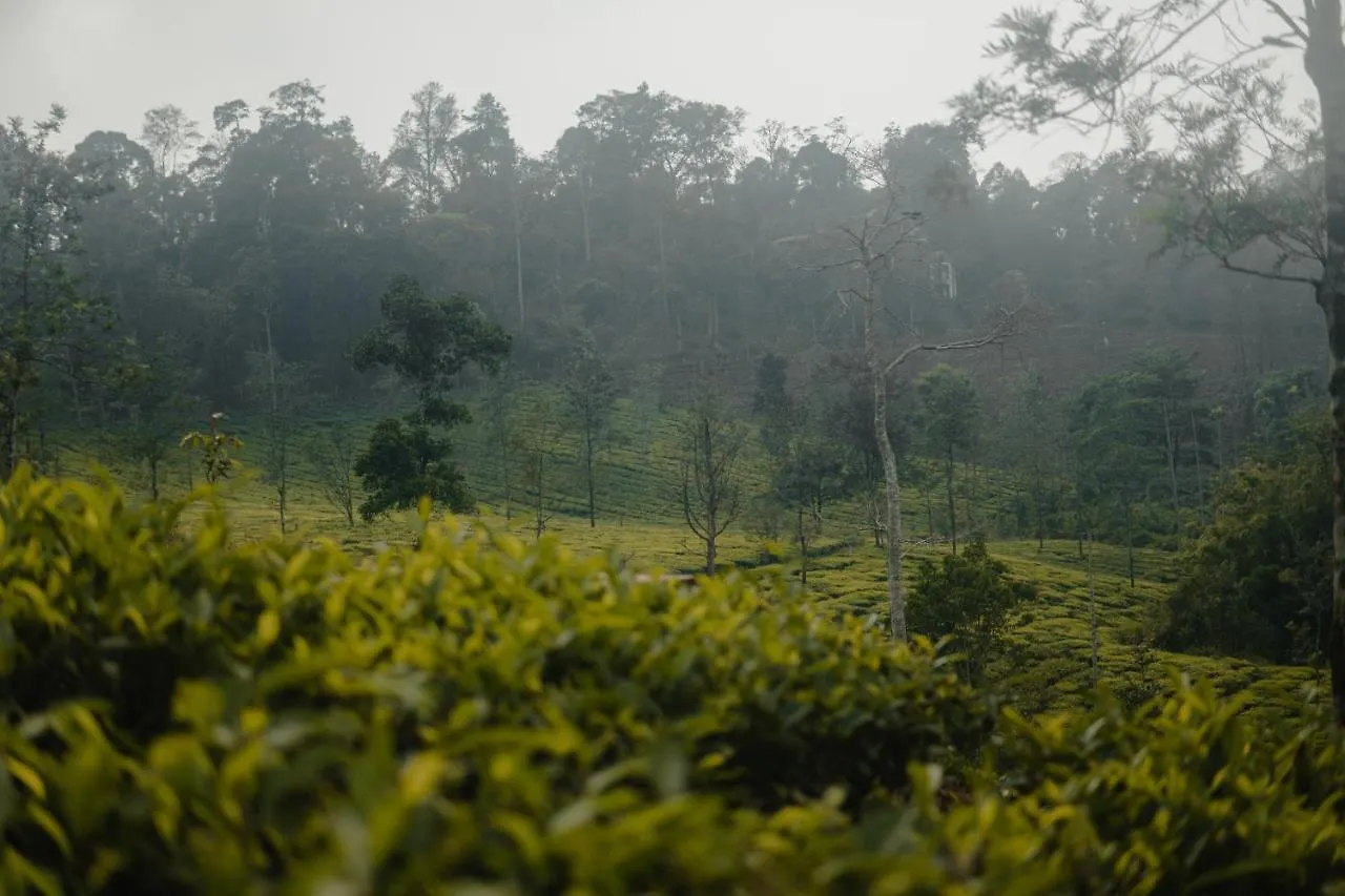 Abad Brookside Wayanad Hotel Vythiri