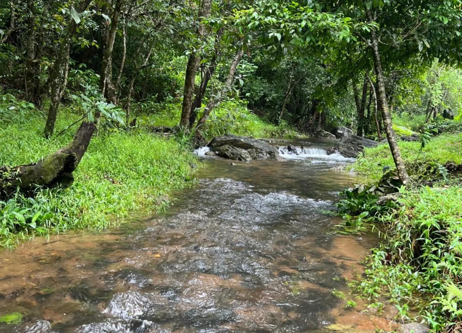 Abad Brookside Wayanad Hotel Vythiri