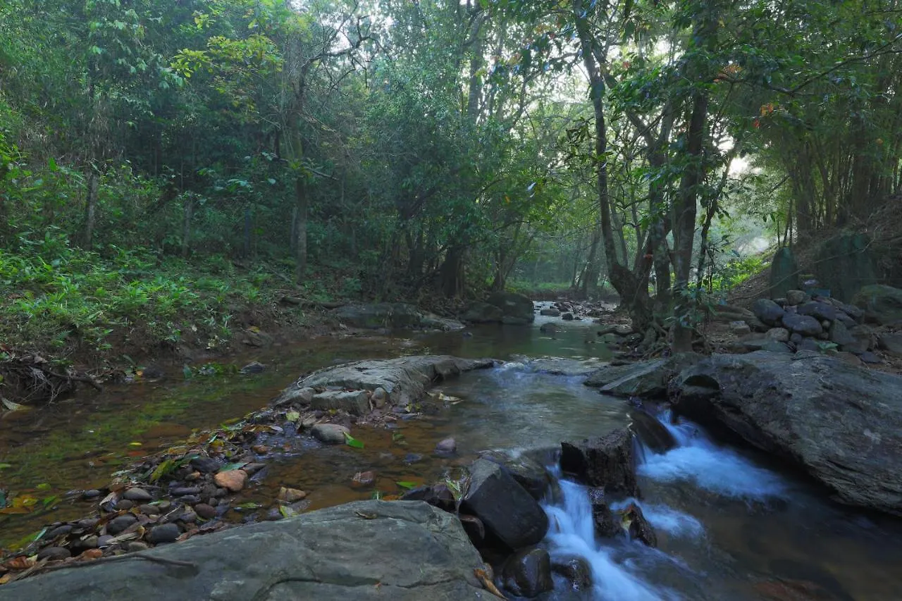 Abad Brookside Wayanad Hotel Vythiri